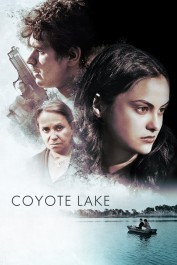 watch the lake house online free