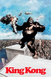 King Kong King Kong