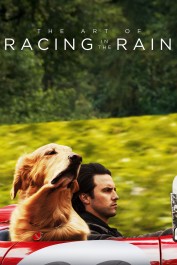 The Art of Racing in the Rain The Art of Racing in the Rain
