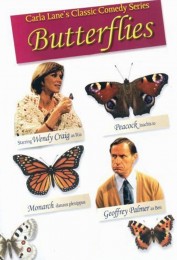 Butterflies Butterflies