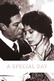 A Special Day A Special Day