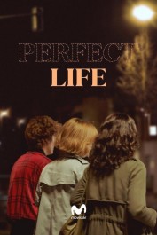 Perfect Life Perfect Life