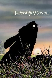 Watership Down Watership Down