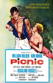 Picnic Picnic