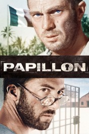 Papillon Papillon