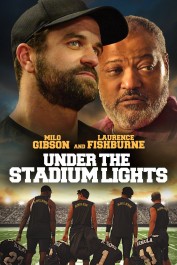 Under the Stadium Lights Under the Stadium Lights