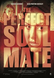The Perfect Soulmate The Perfect Soulmate